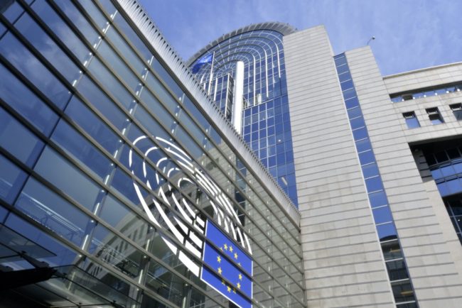 kto-javljaetsja-glavnymi-v-spiskah-osnovnyh-evropejskih-partij-grajdanstvo-es-serjmin