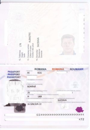 Заграничный паспорт Румынии
