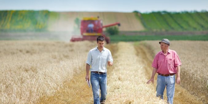 afir-bezvozmezdnoe-finansirovanie-v-razmere-15-000-evro-dlja-melkih-fermerov-rumynii-grajdanstvo-serjmin