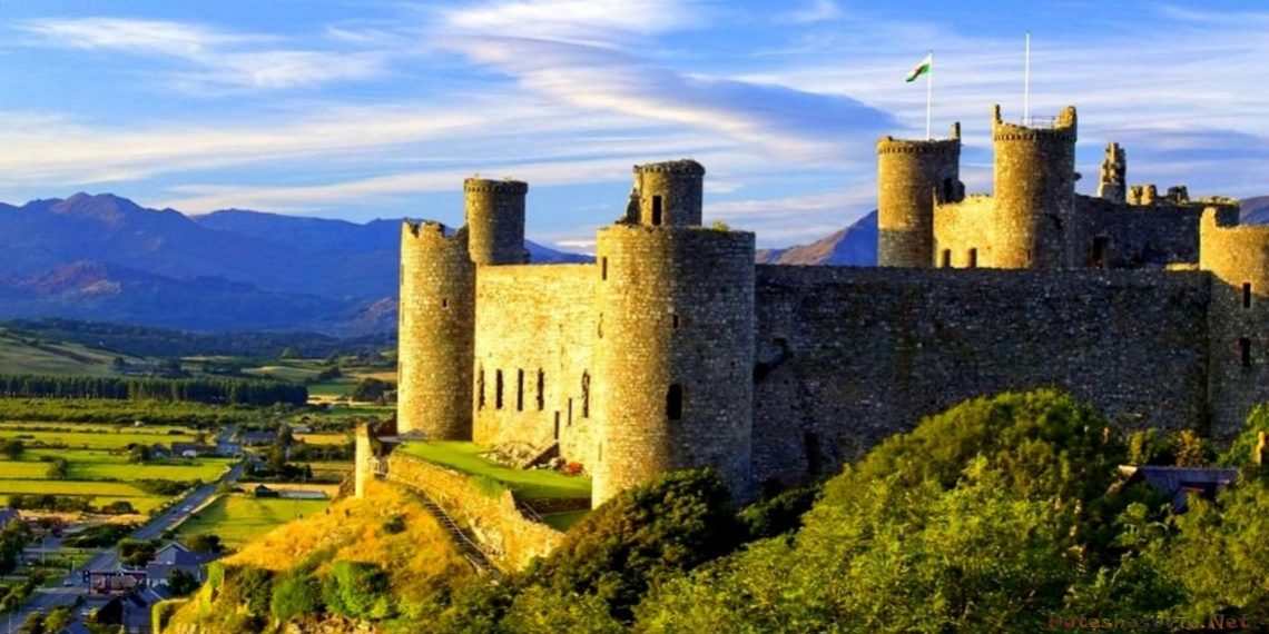 tretja-strana-iz-soedinennogo-korolevstva-grajdanstvo-serjmin