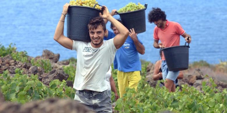 italjancy-otchajalis-posle-uhoda-rumynskih-rabochih-SERJMIN