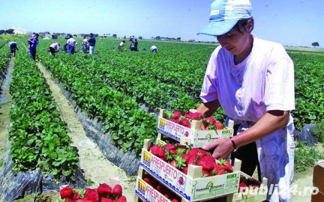 svoboda-dlja-raboty-v-germanii-smjagchaet-uslovija-rabotnikov-SERJMIN