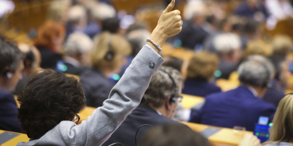 evropejskij-parlament-onlajn-plenarnoe-zasedanie-na-2021-SERJMIN