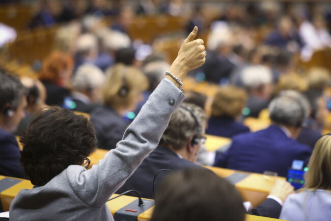 evropejskij-parlament-onlajn-plenarnoe-zasedanie-na-2021-SERJMIN