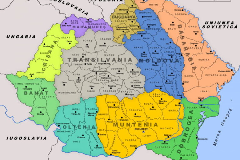 proekt-deklaracii-ob-obedinenii-moldovy-i-rumynii-SERJMIN